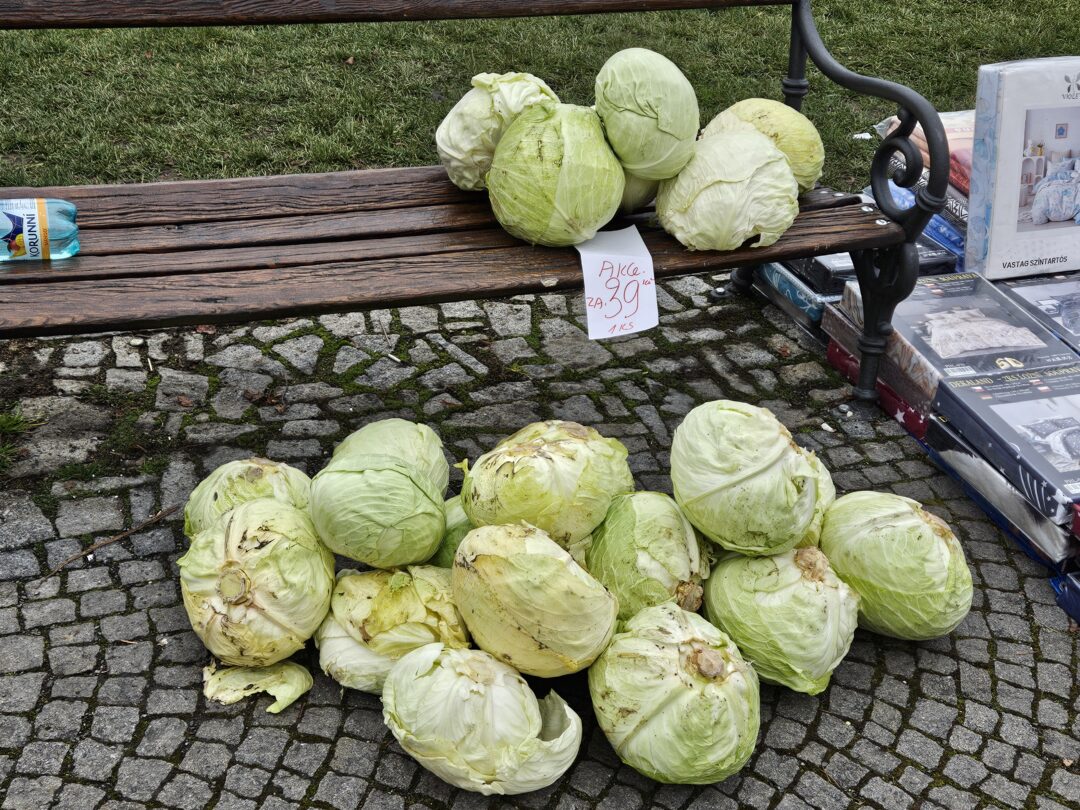 The most bizarre item for sale at the Christmas market: Cabbage on sale!